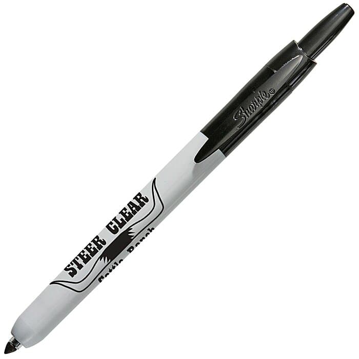 Sharpie Retractable Fine Point Marker