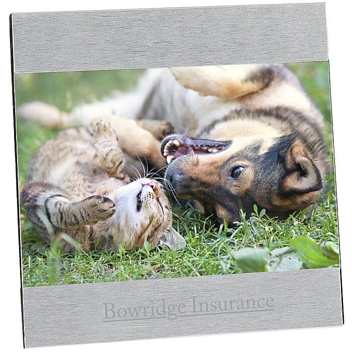 4 inches x 6 inches Brushed Aluminum Split Frame