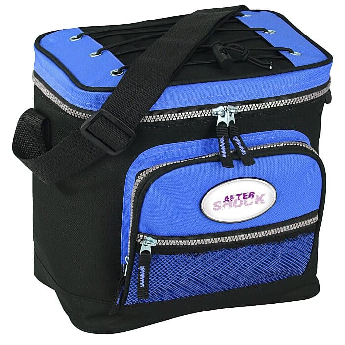 TEC 12-Can Cooler