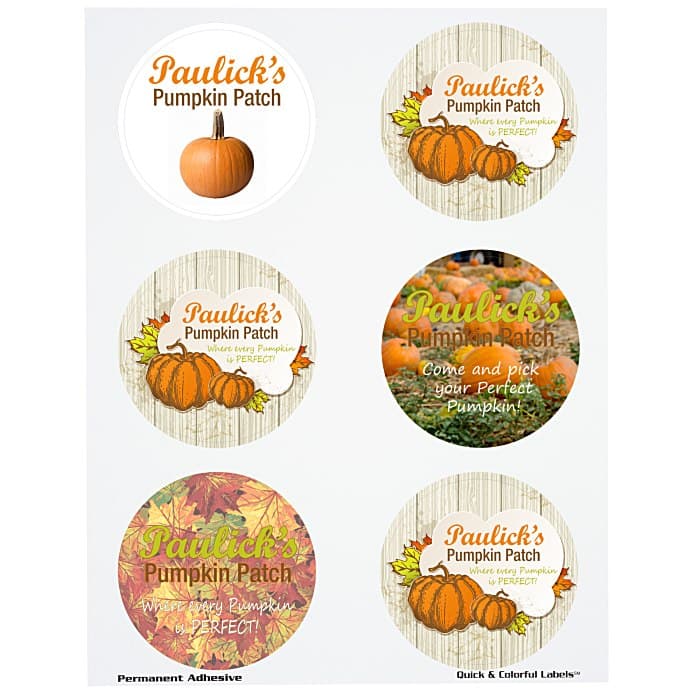 Quick & Colorful Sheeted Label - Circle 3 inches