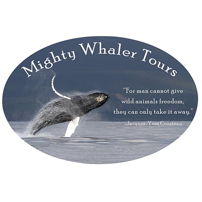 Car Magnet - Oval - 3-1/2 inches x 5 inches