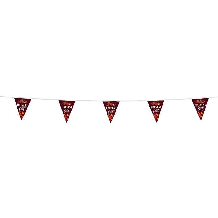 20' Triangle Pennant String - 12 inches x 9 inches - 11 Pennants - One Sided