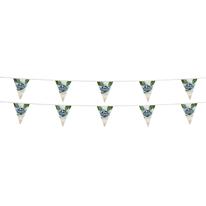 20' Triangle Pennant String - 12 inches x 9 inches - 11 Pennants - Two Sided