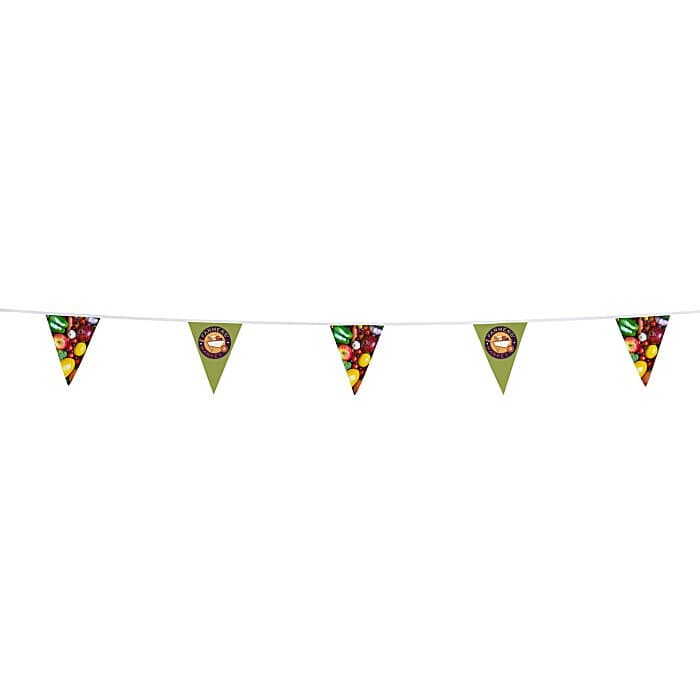 30' Triangle Pennant String - 12 inches x 9 inches - 16 Pennants - One Sided - Alternating