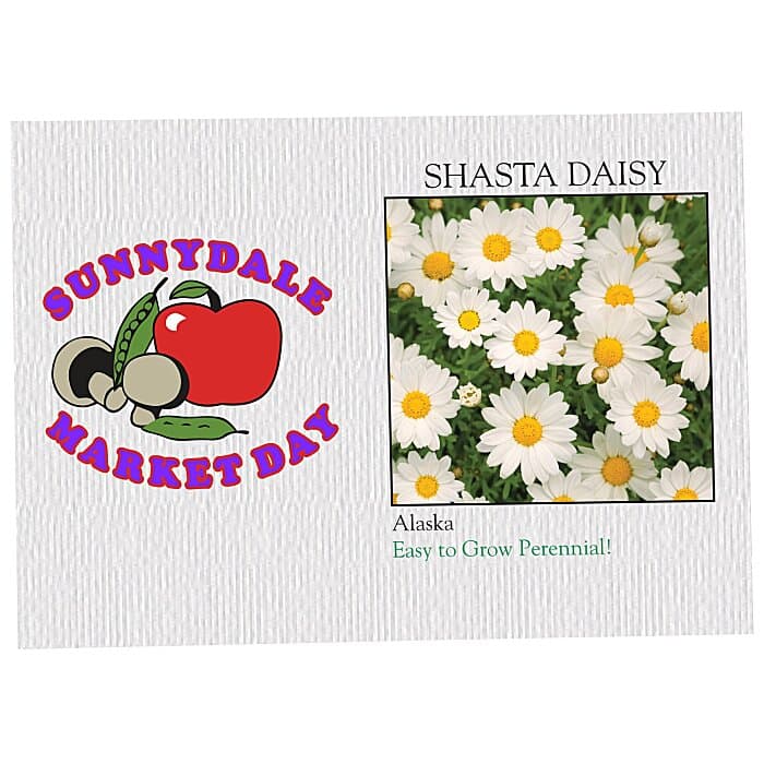 Impression Series Seed Packet - Shasta Daisy