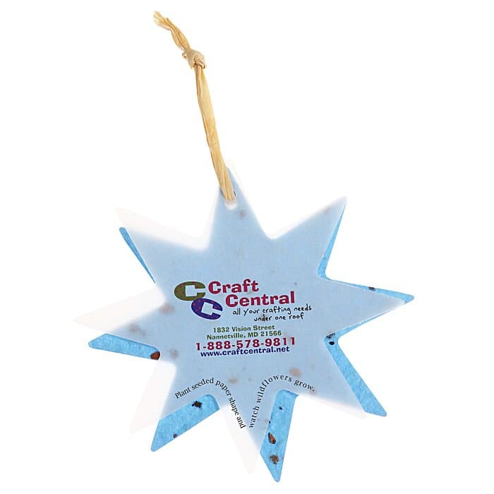 Seeded Paper Ornament - Star
