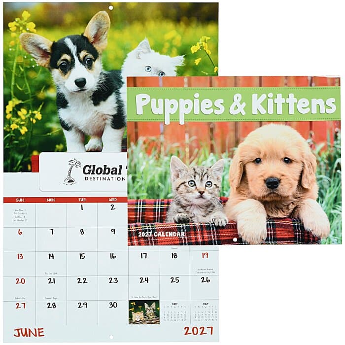 Puppies & Kittens Appointment Calendar - Window