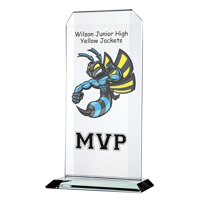 Aspire Starfire Glass Award - 11 inches - Full Color