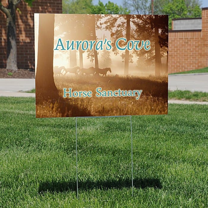 Corrugated Plastic Yard Sign with Wire Frame - 18 inches x 24 inches - Full Color