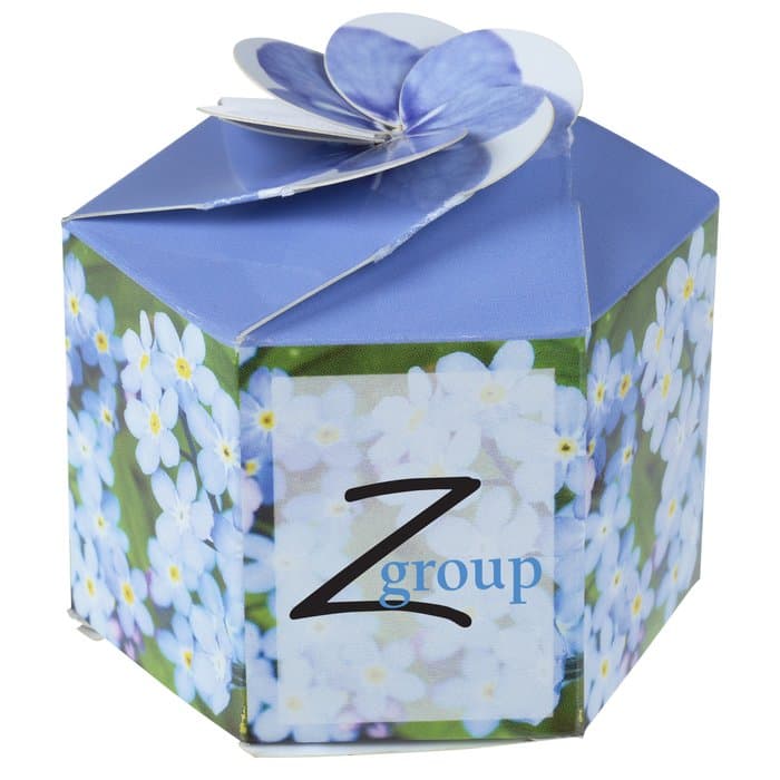 Pop Up Planter Kit - Forget Me Not