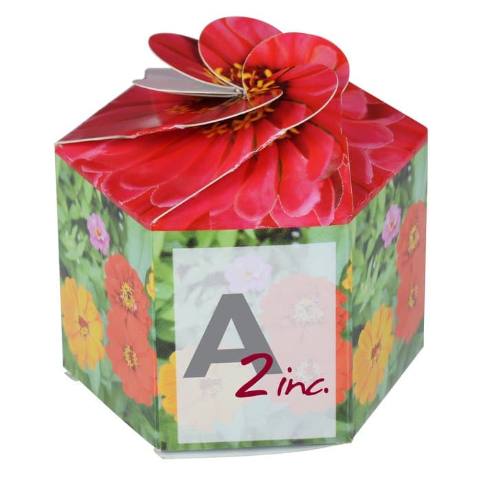 Pop Up Planter Kit - Zinnia