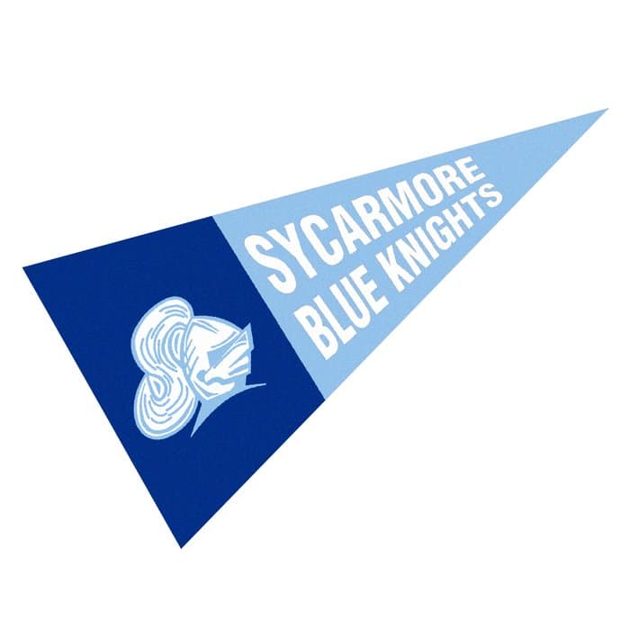 Felt Pennant Magnet - 3 inches x 6 inches