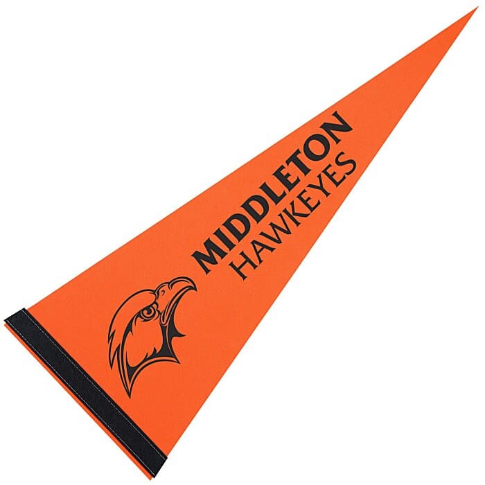 Pennant 9 inches x 24 inches - Colors