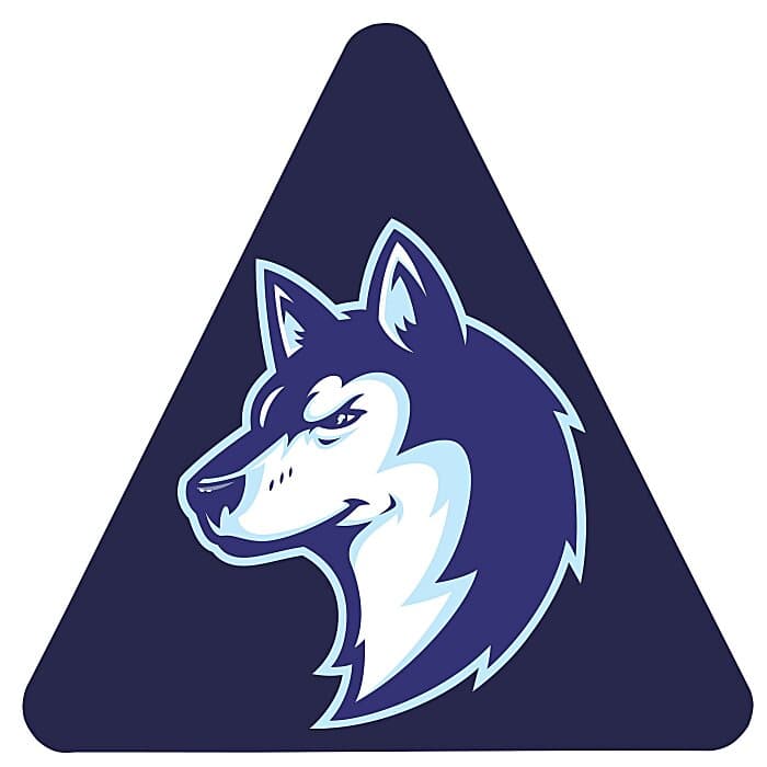 Full Color Static Decal - Triangle - 3 inches