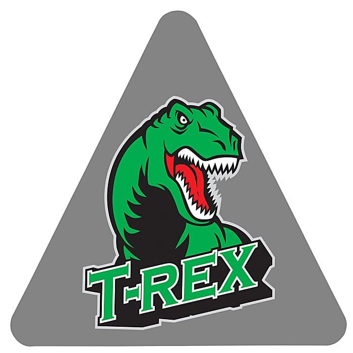 Full Color Static Decal - Triangle - 8 inches
