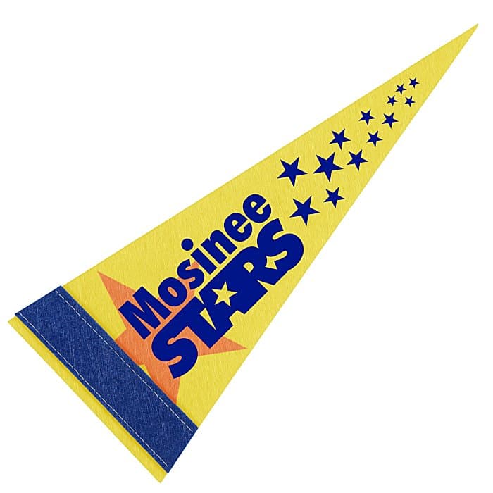 Pennant 4 inches x 10 inches - White - Full Color