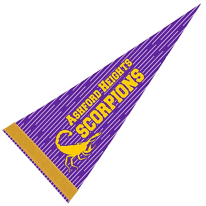 Pennant 8 inches x 18 inches - White - Full Color