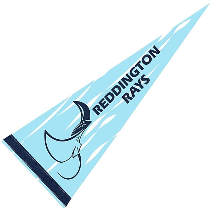 Pennant 9 inches x 24 inches - White - Full Color