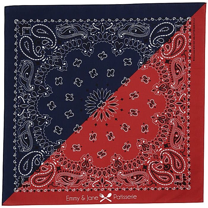 Colorblock Paisley Bandana - 22 inches x 22 inches