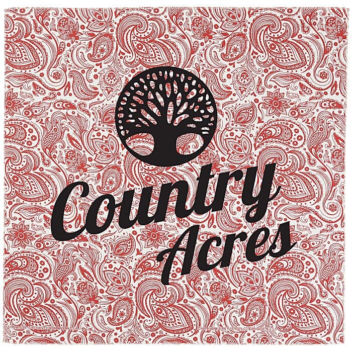 English Paisley Bandana - 22 inches x 22 inches