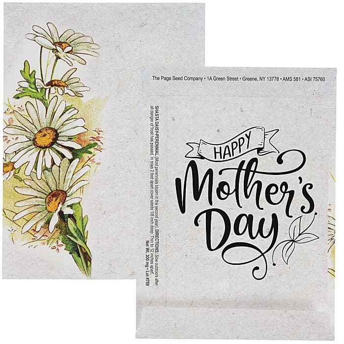 Watercolor Seed Packet - Shasta Daisy