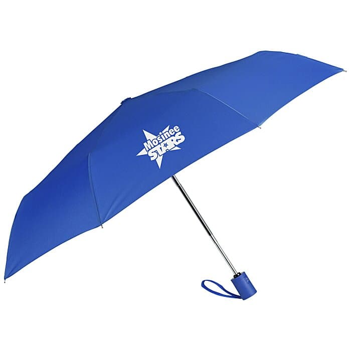 Executive Auto Open / Close Umbrella - 43-inch Arc