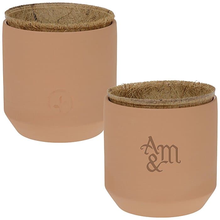 Modern Sprout Tiny Terra Cotta Grow Kit