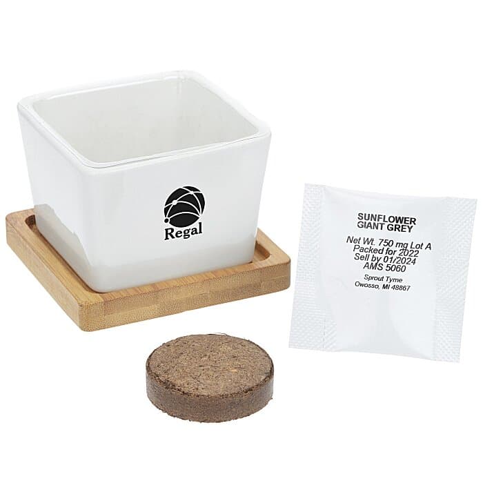 Ceramic Square Planter Set
