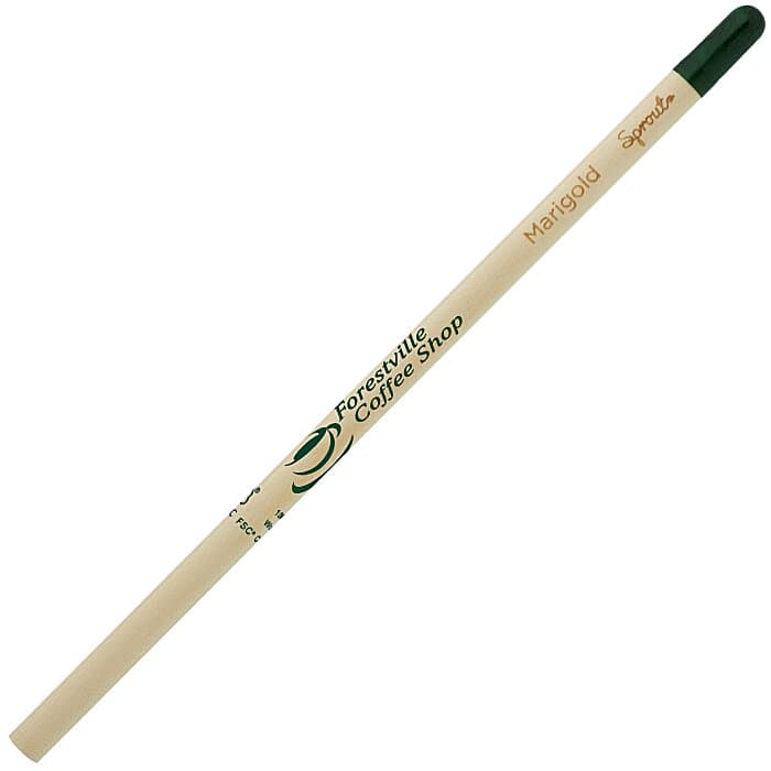 SproutWorld Pencil